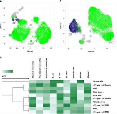 Relevance of TMPRSS2, CD163/CD206, and CD33 in clinical severity stratification of COVID-19